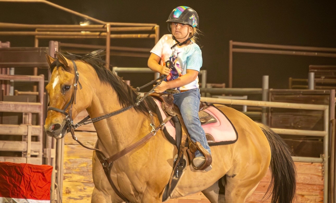 Horse training