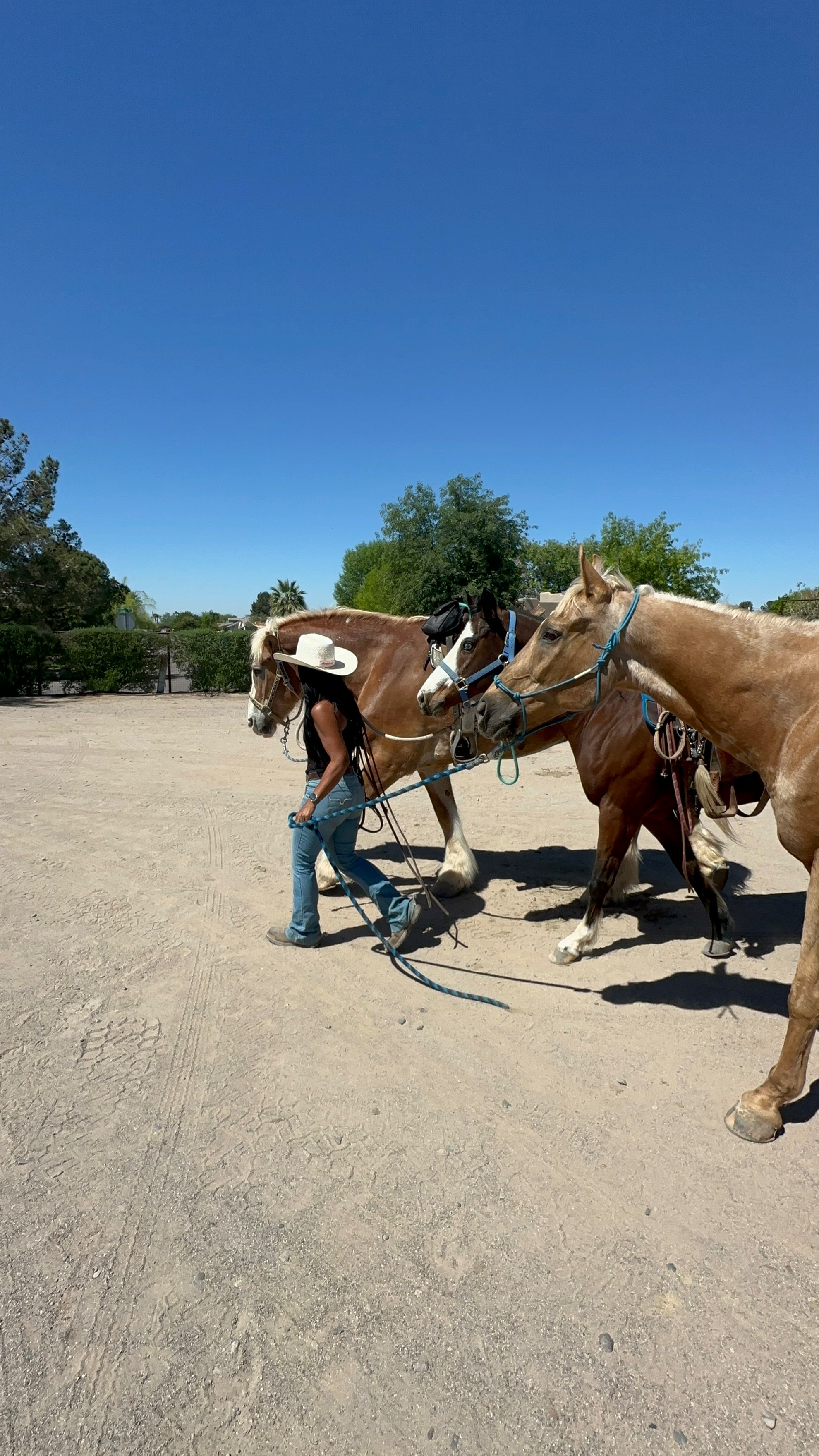 Barrel racing coaching