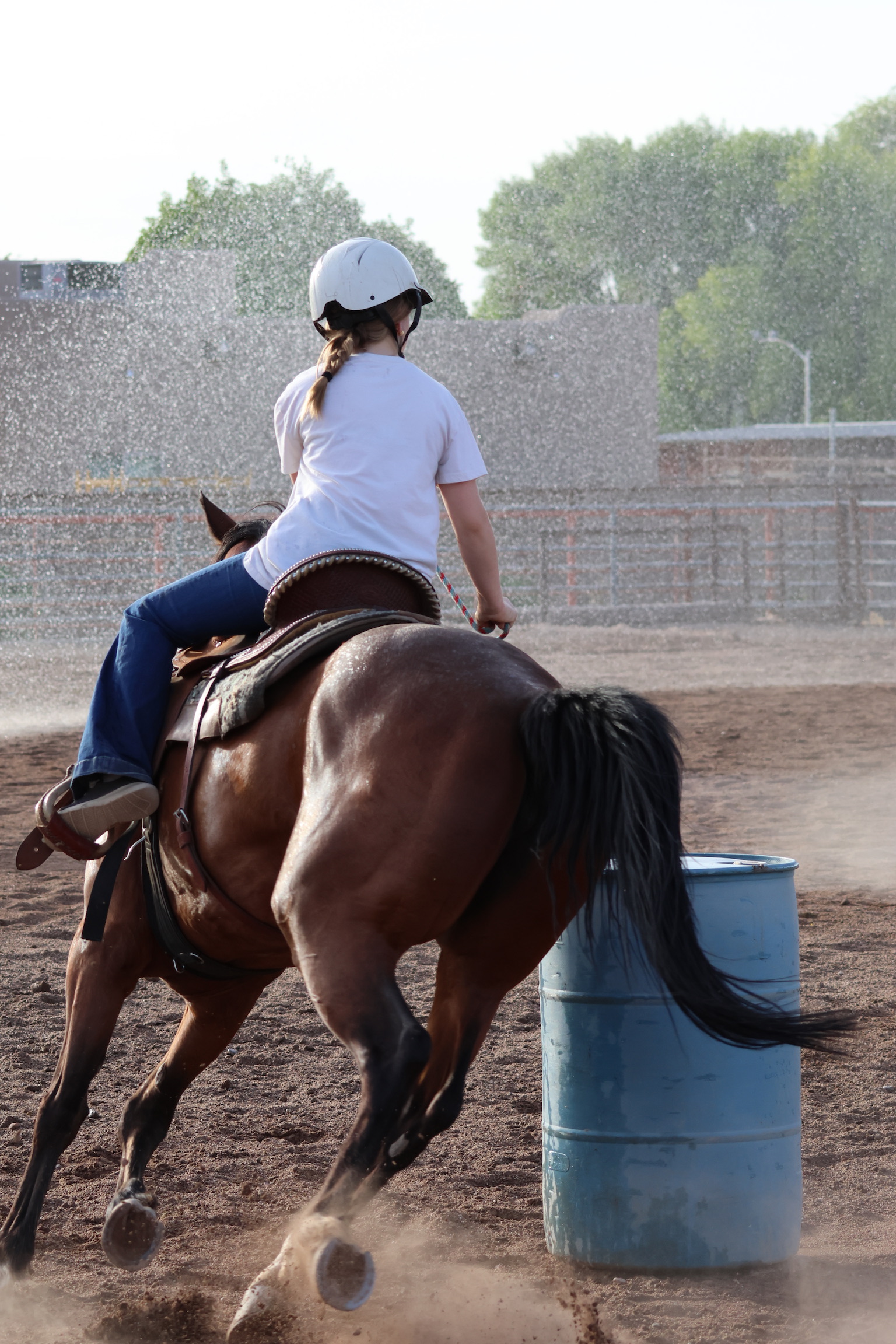 BAR CL LLC — trainer and horses